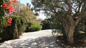 tarifarealestate-A-CAS-entrance