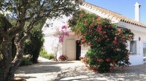 tarifarealestate-A-CAS-entrance