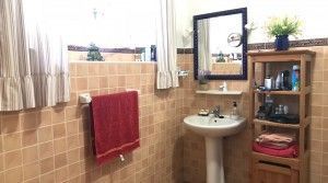 tarifarealestate-V-ERA-property-with-character-Pelayo-bathroom-1