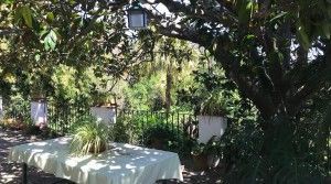 tarifarealestate-V-ERA-property-with-character-Pelayo-shaded-terrace-east
