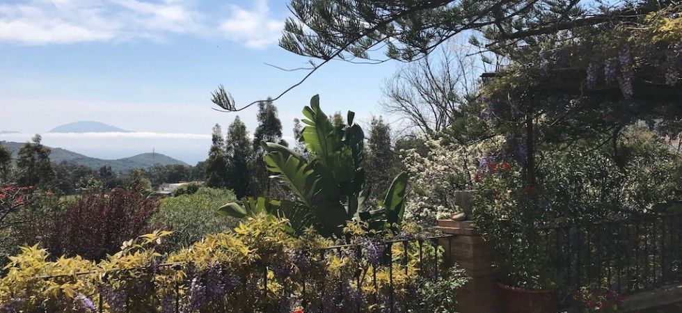 tarifarealestate-V-ERA-property-with-character-Pelayo-view-terrace